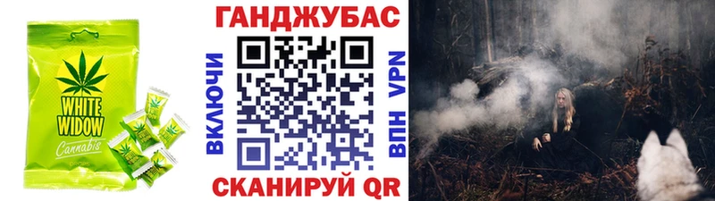 магазин    Невинномысск  Cannafood конопля 