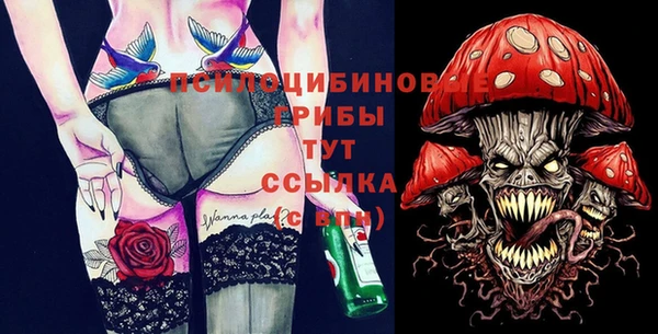 соль ск Кинешма