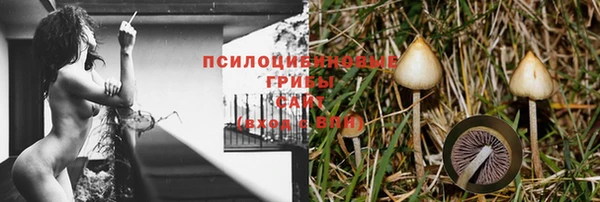 не бодяженный Карпинск