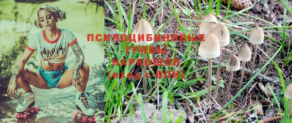 не бодяженный Карпинск