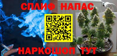 тгк Боровичи