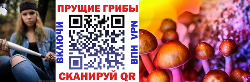 Псилоцибиновые грибы ЛСД  Невинномысск 