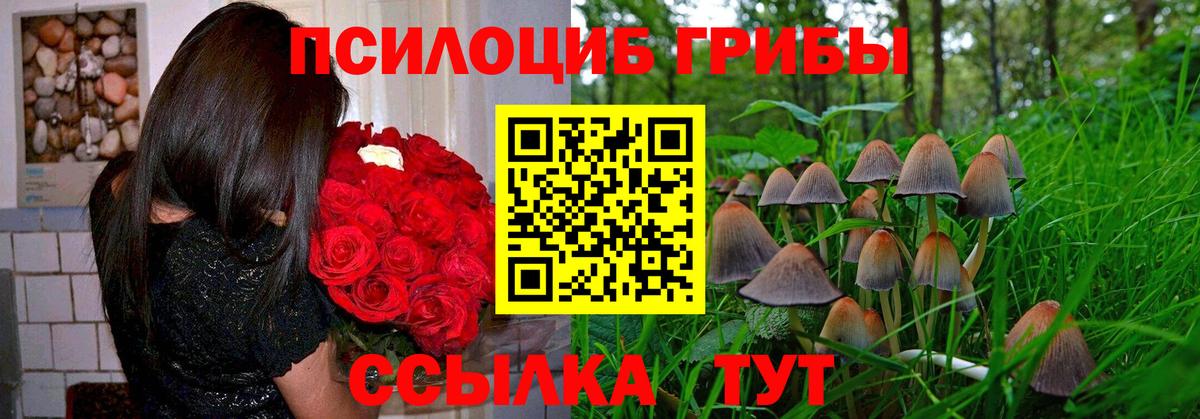 Псилоцибиновые грибы GOLDEN TEACHER Невинномысск